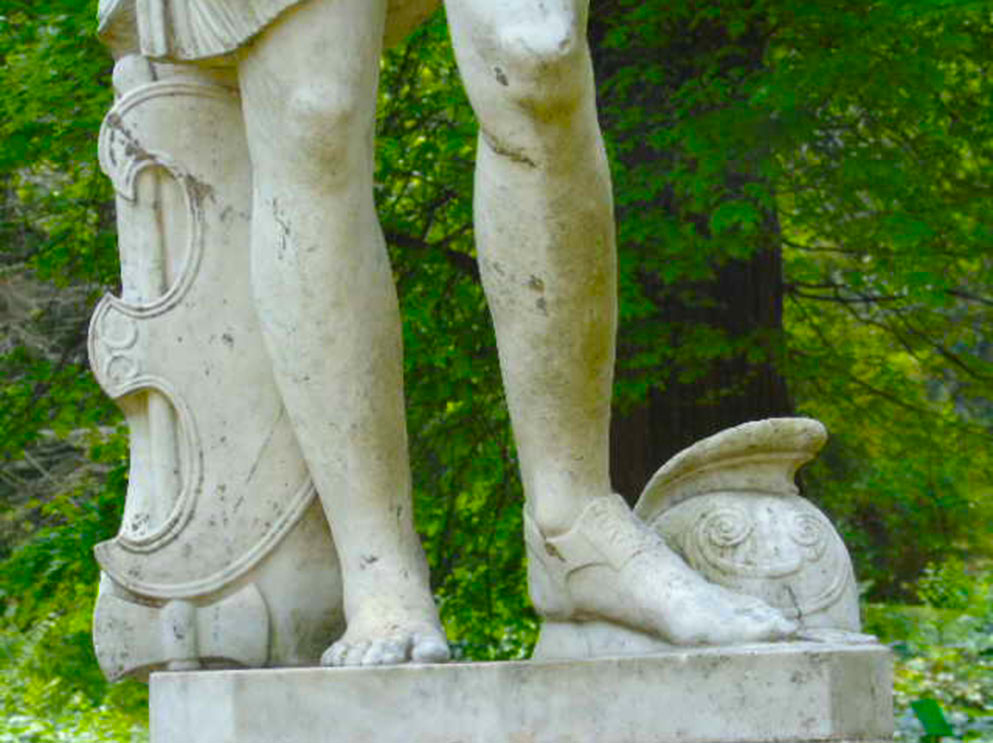 Amazona
