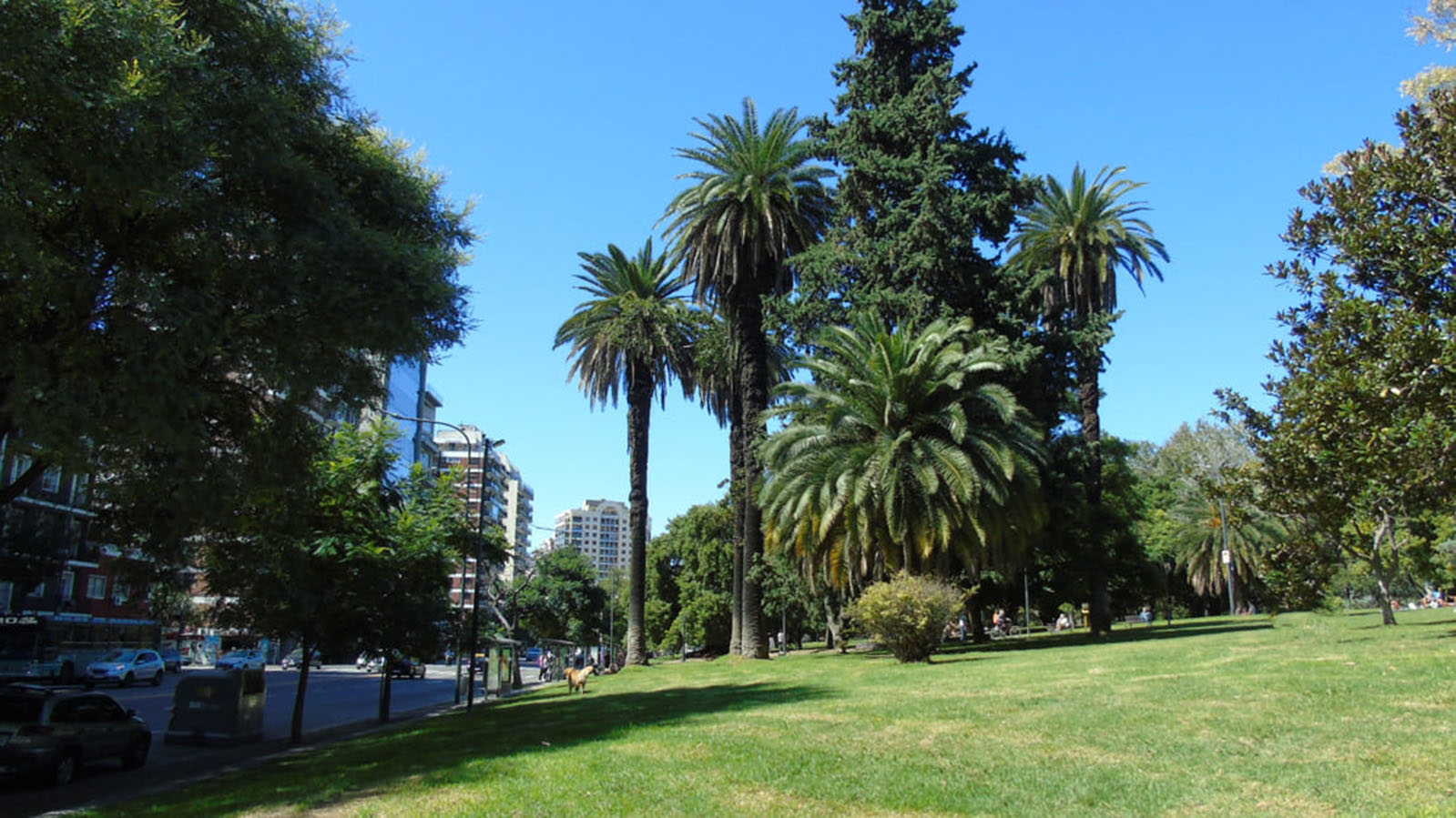 Parque Las Heras