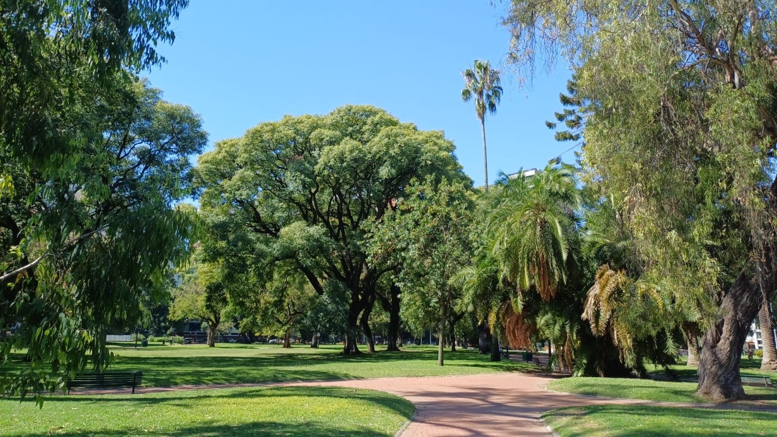Imagen de galería 1