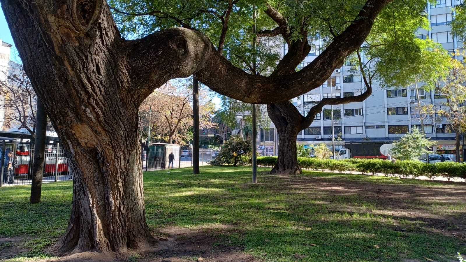Imagen de galería 1