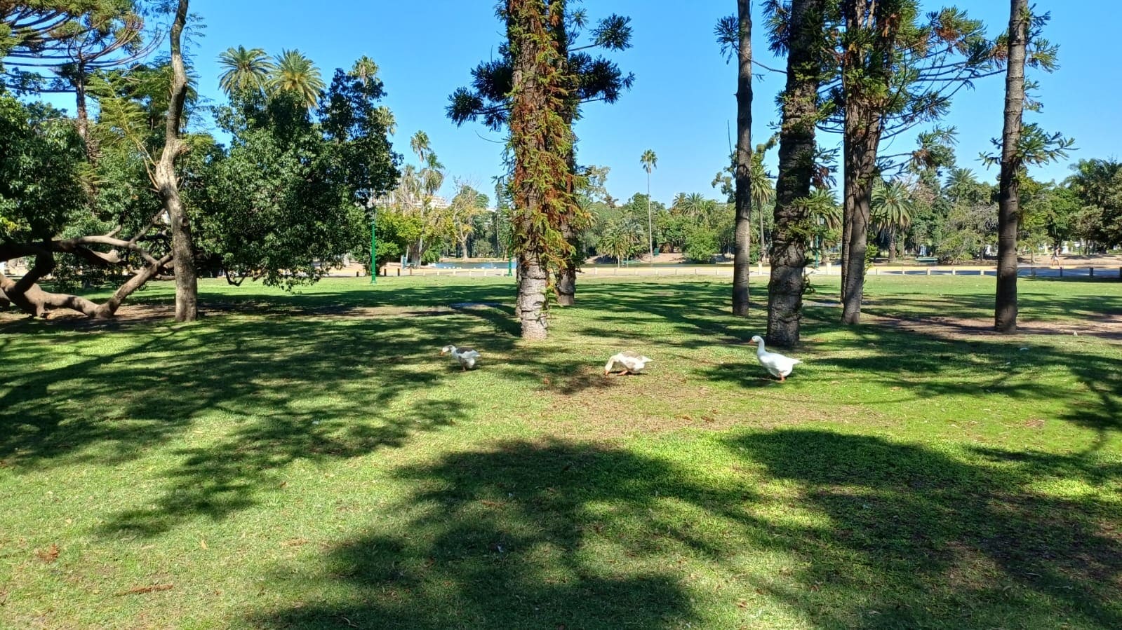 Imagen de galería 1