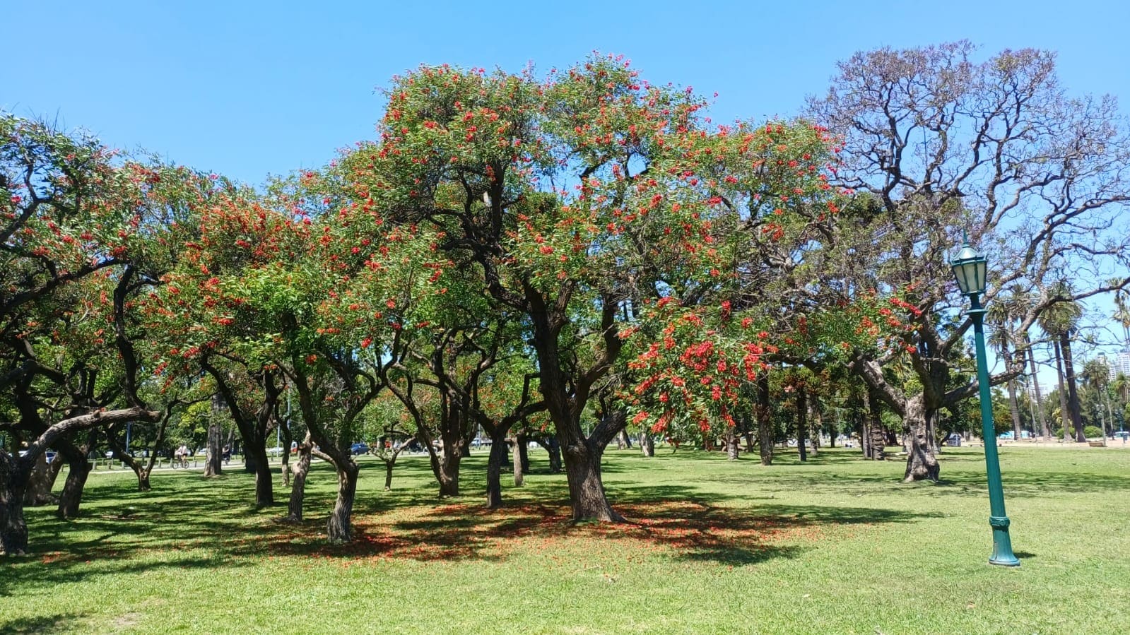 Imagen de galería 1