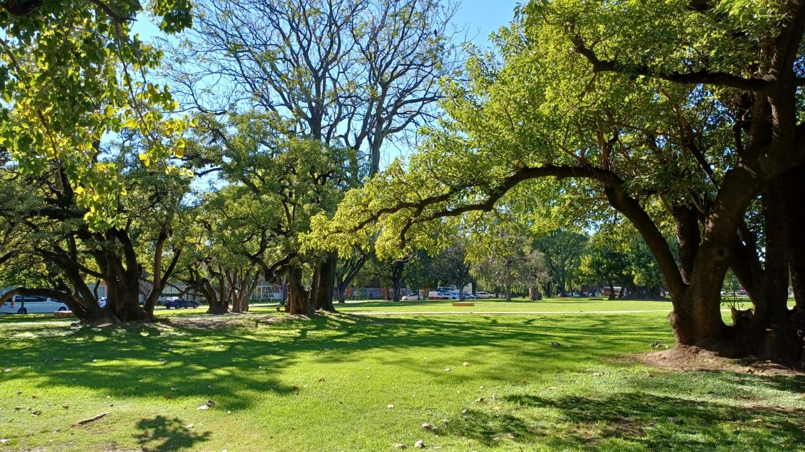 Plaza Dr. Benjamin A. Gould
