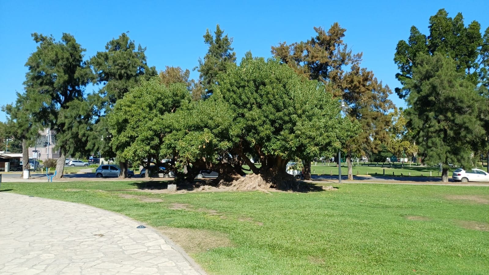 Plaza Dr. Benjamin A. Gould