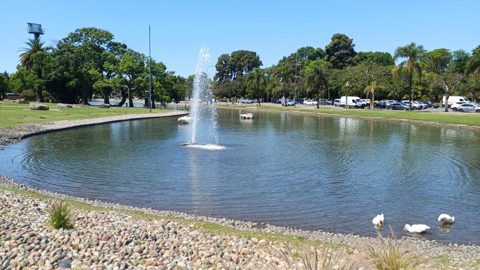 Imagen de galería 1