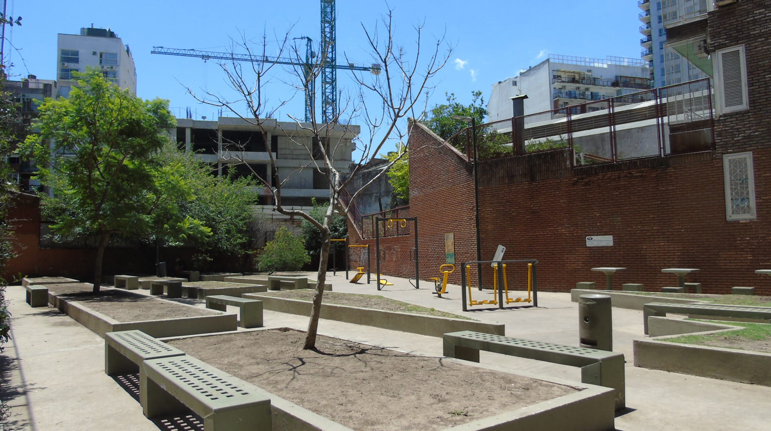 Plaza del Jacarandá