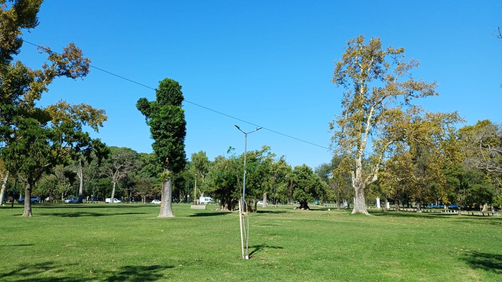 Imagen de galería 1