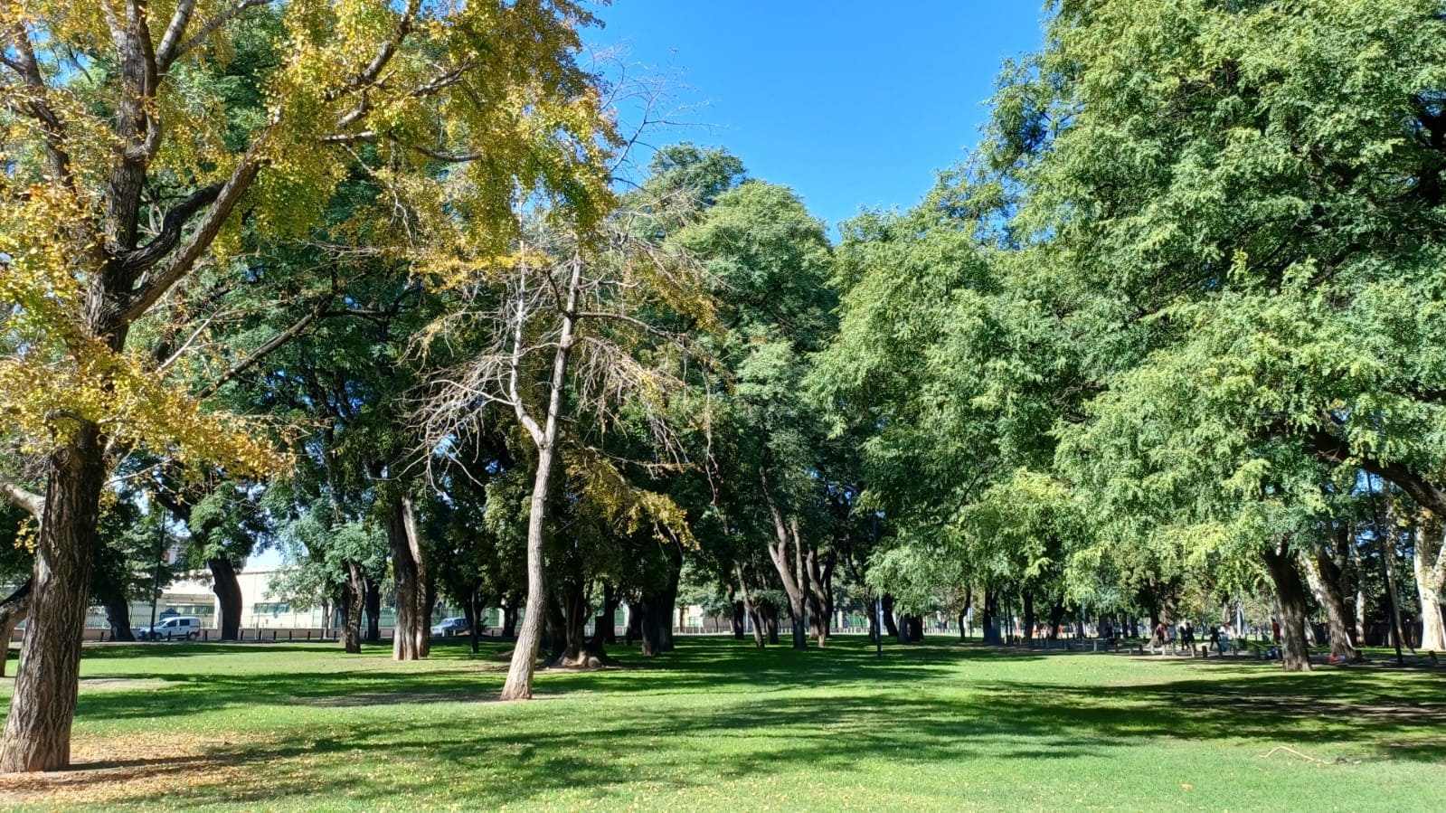 Imagen de galería 1