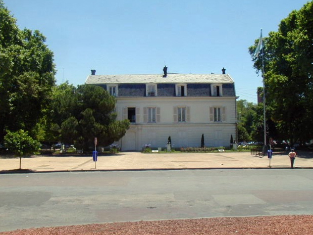 Pino Retoño 2002