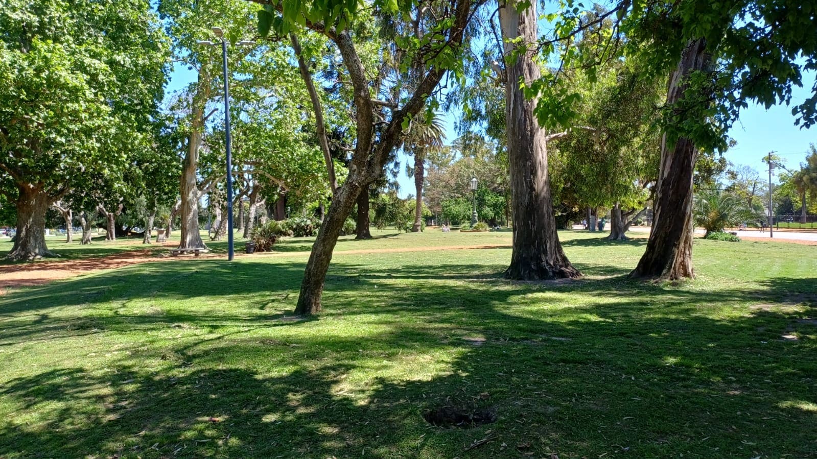 Imagen de galería 1