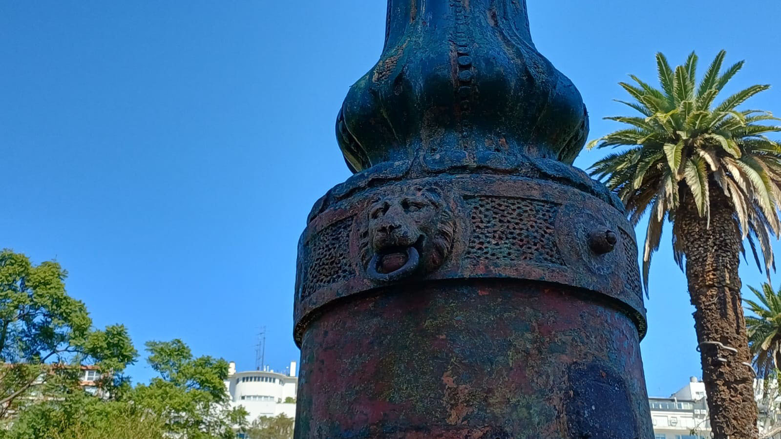  León con su cría