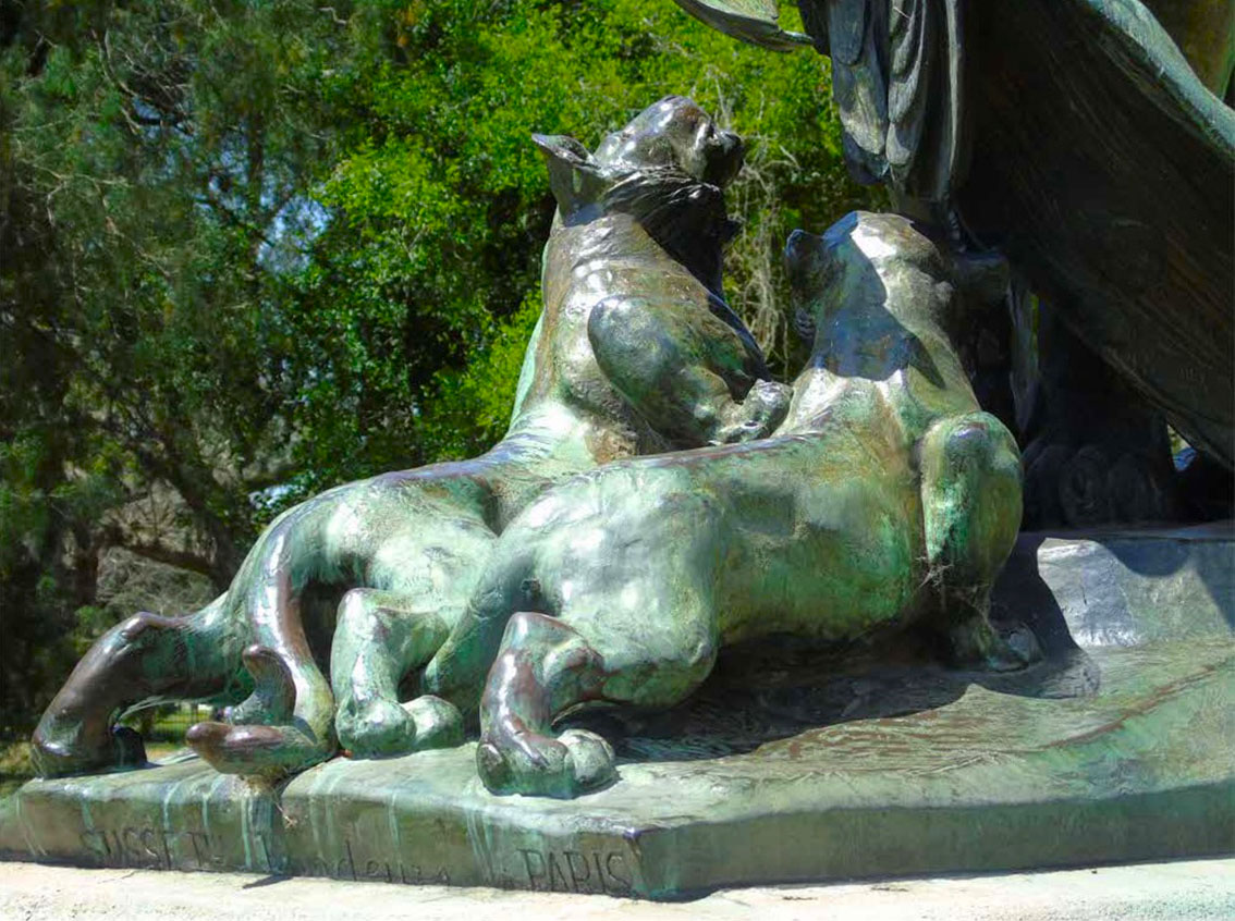  León con su cría
