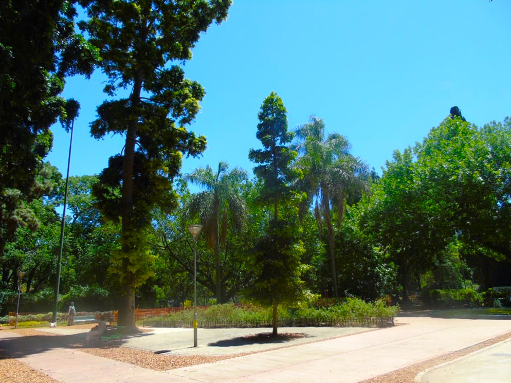 Vista de la plaza