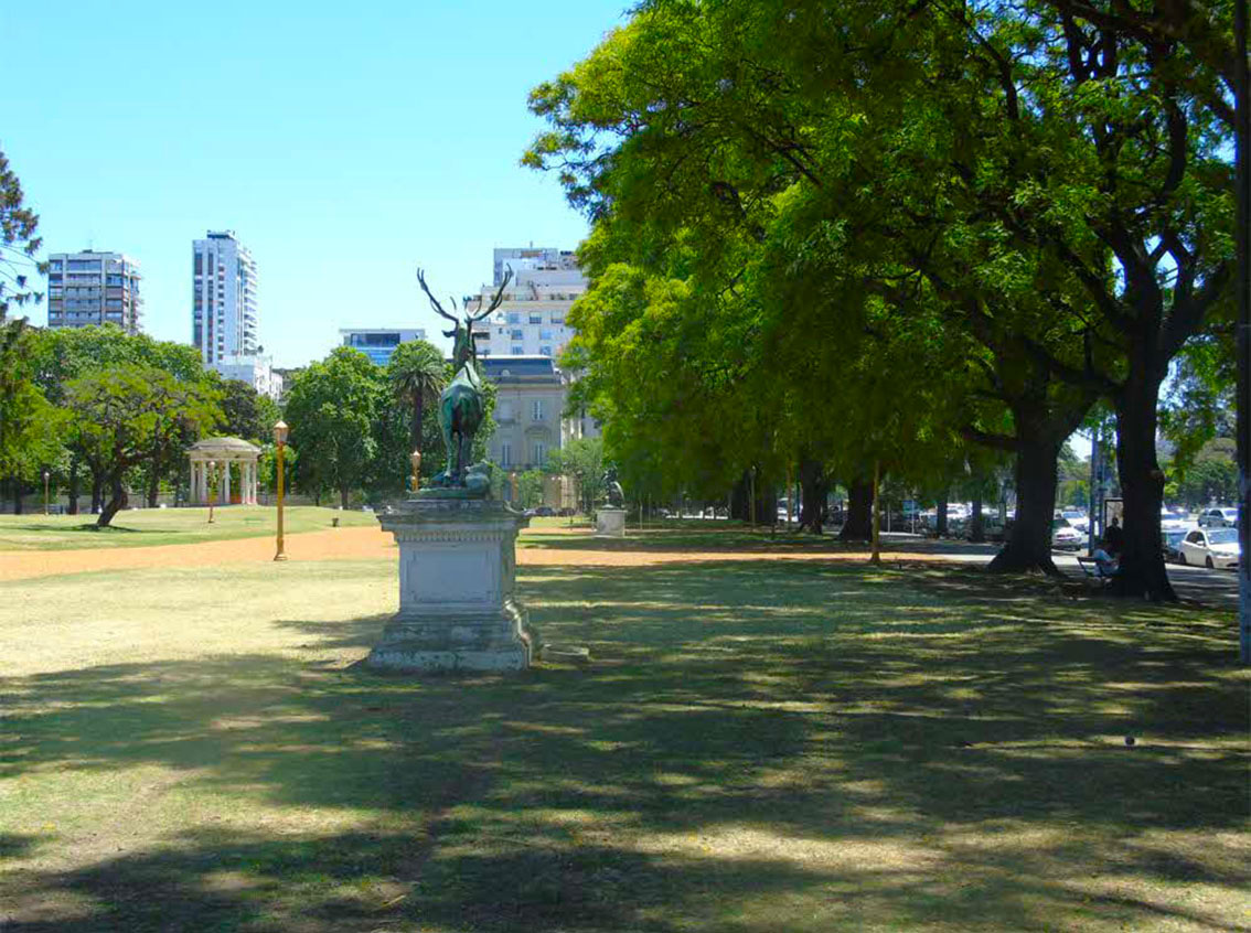  Ciervo