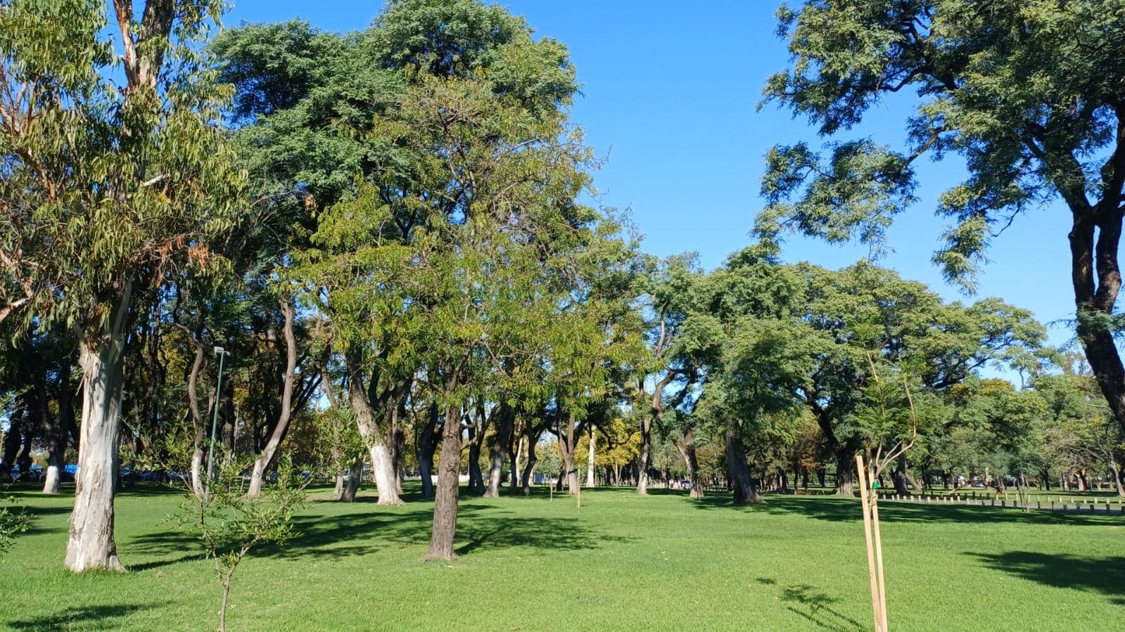 Imagen de galería 1
