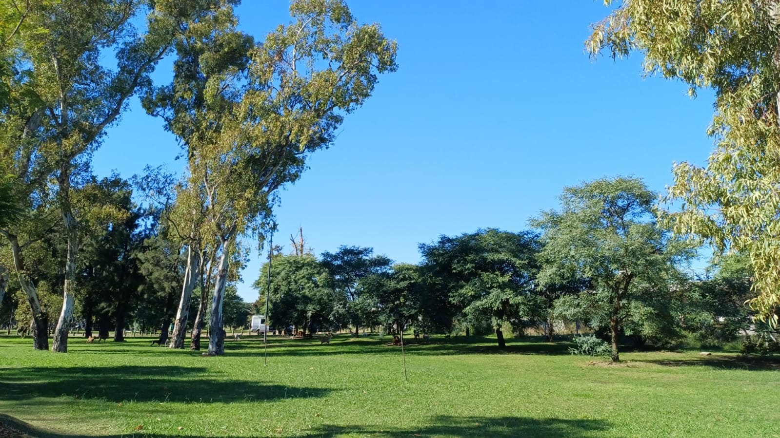 Imagen de galería 1