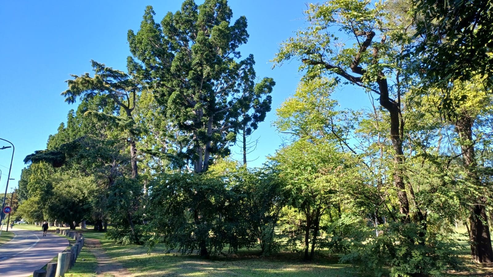 Imagen de galería 1