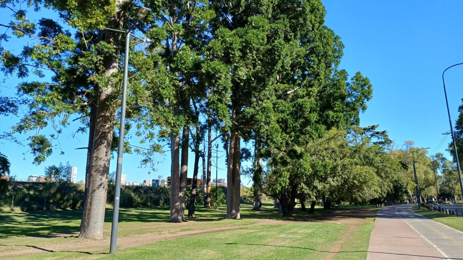 Imagen de galería 1