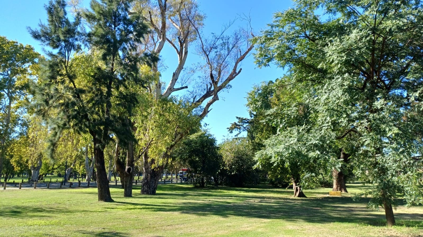 Imagen de galería 1