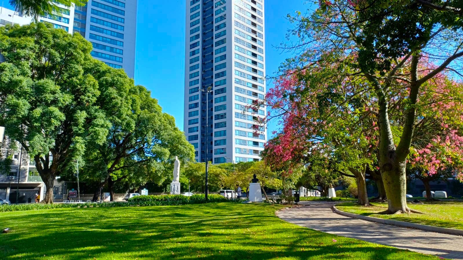 Imagen de galería 1