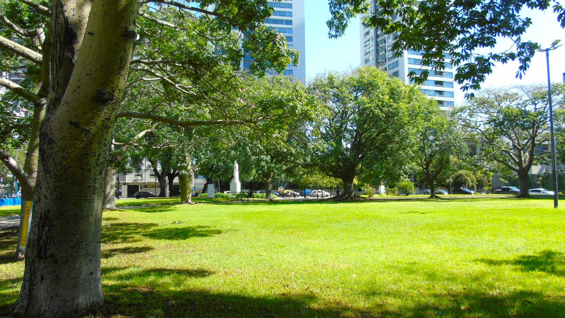 Imagen de galería 1