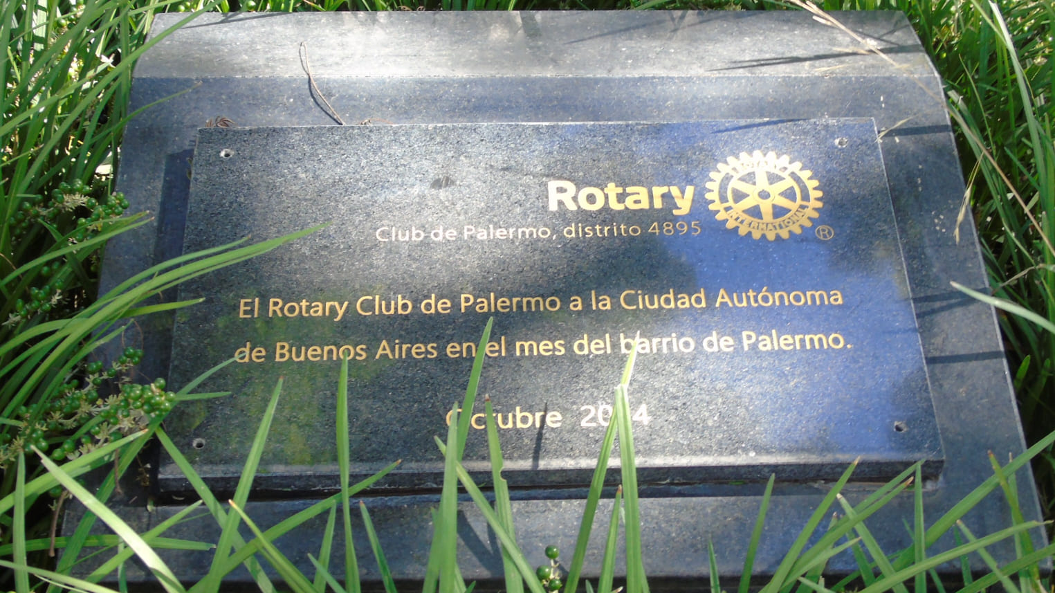 Imagen de galería 1