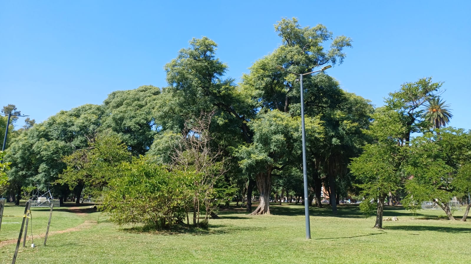 Plaza Sicilia