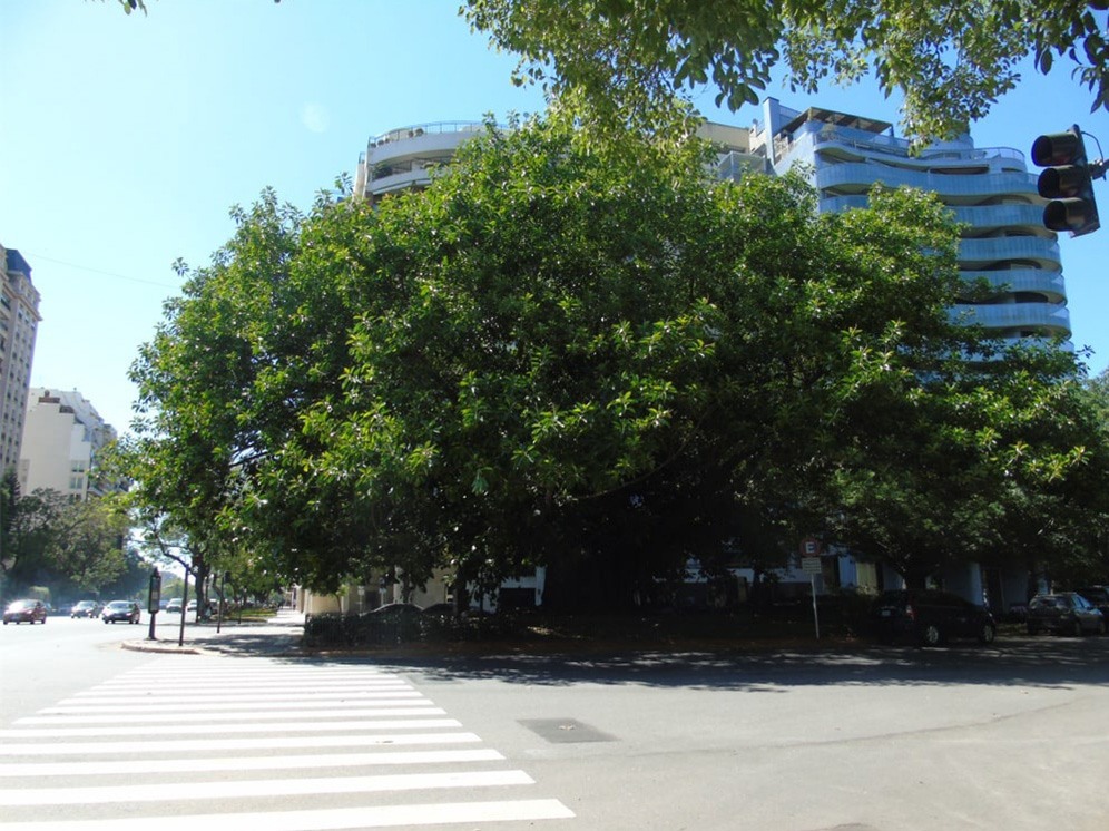 Imagen de galería 1