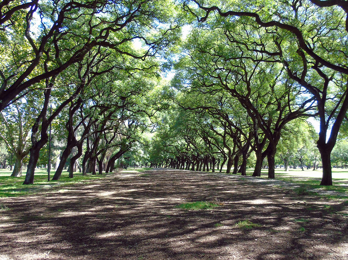 Plazoleta Florencio Sánchez