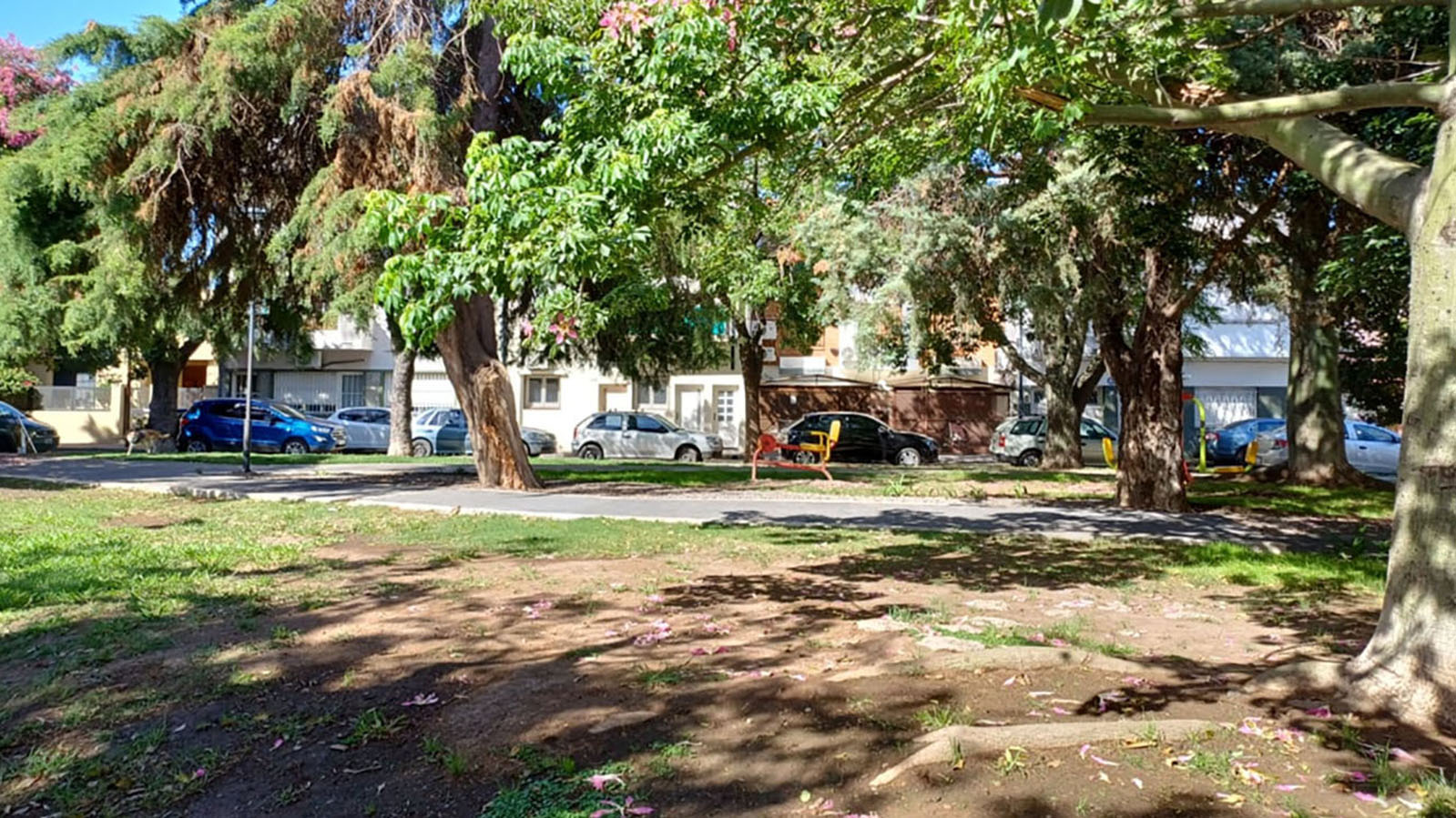 Plaza Jamaica