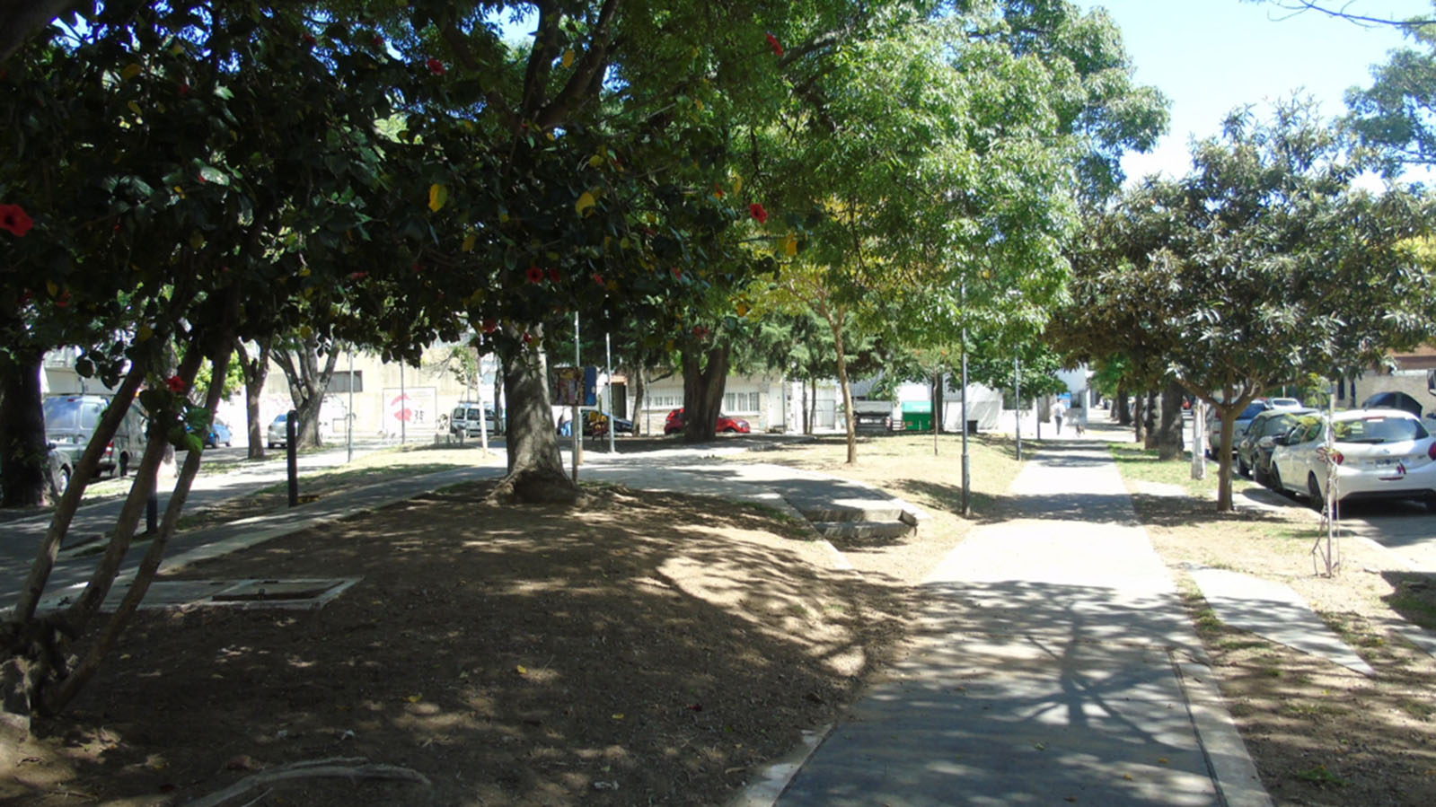 Plaza Jamaica