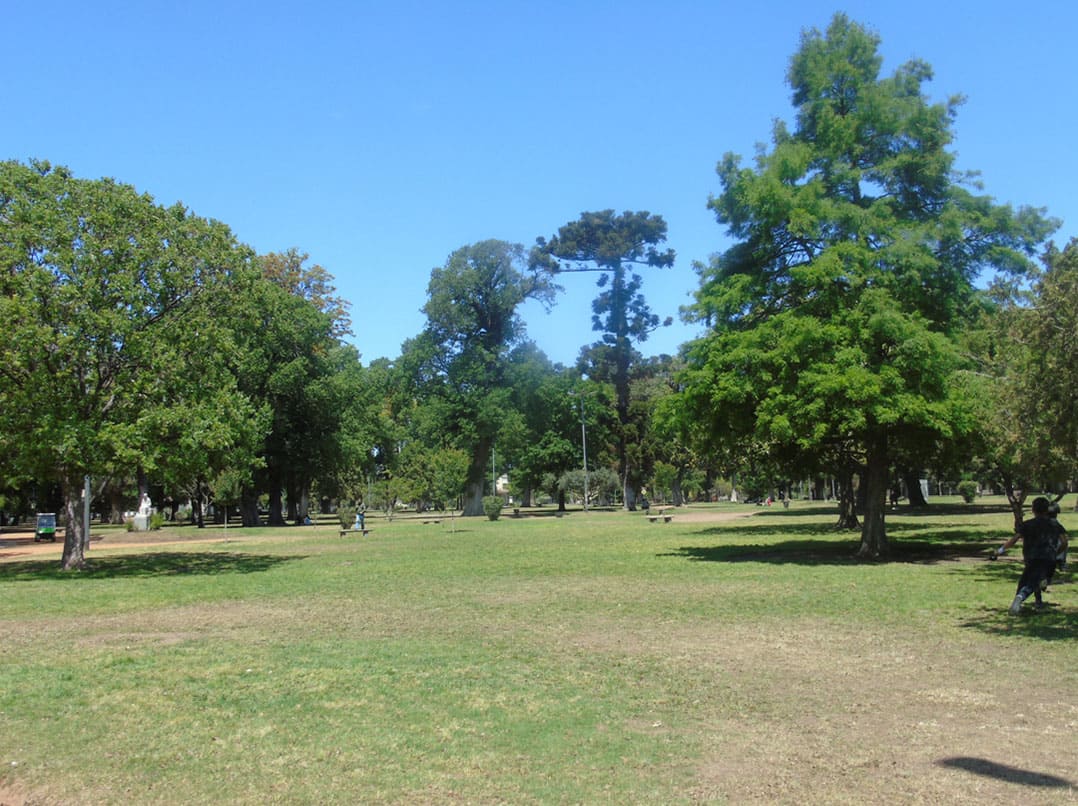 Vista del parque