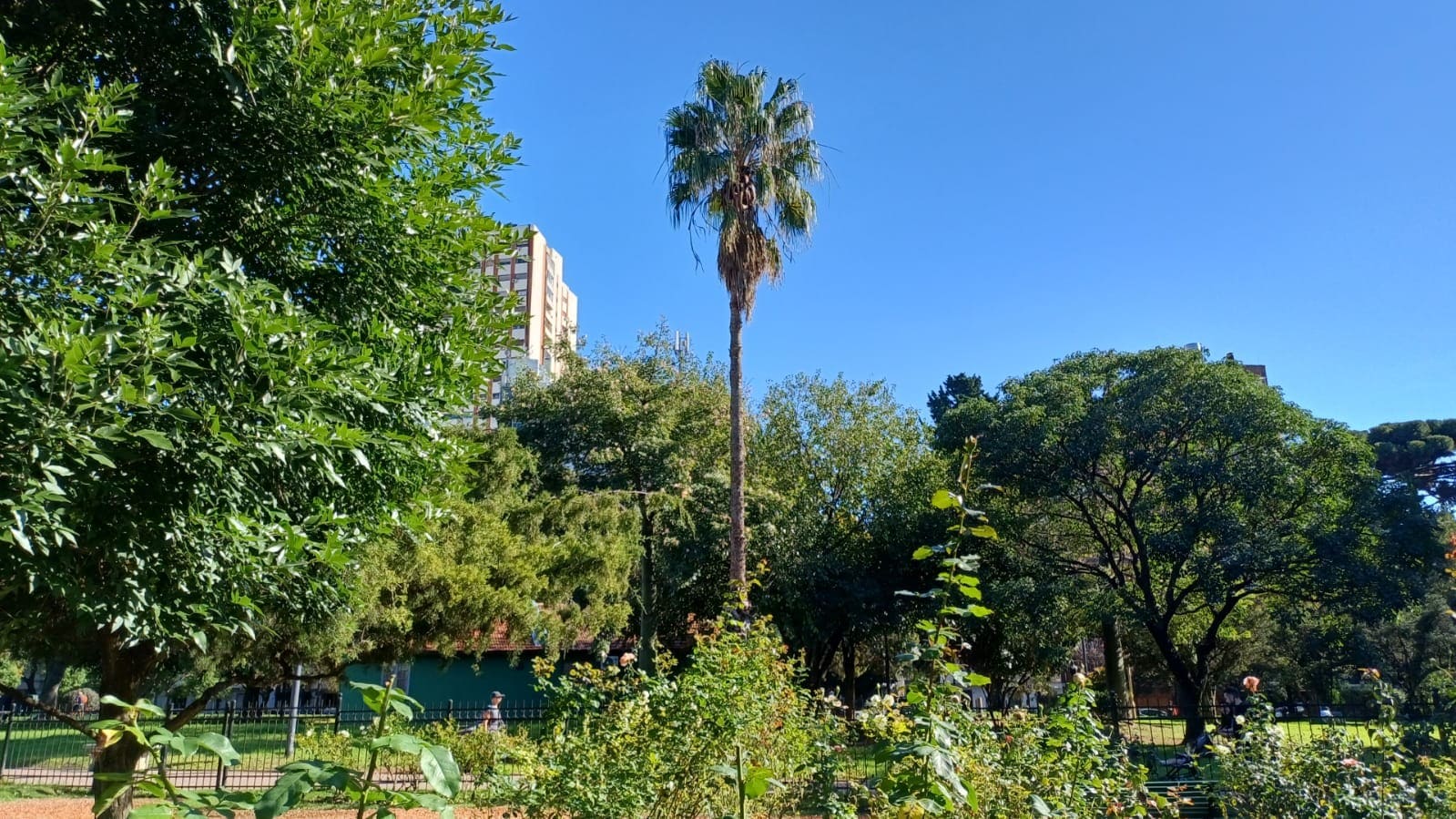 Imagen de galería 1