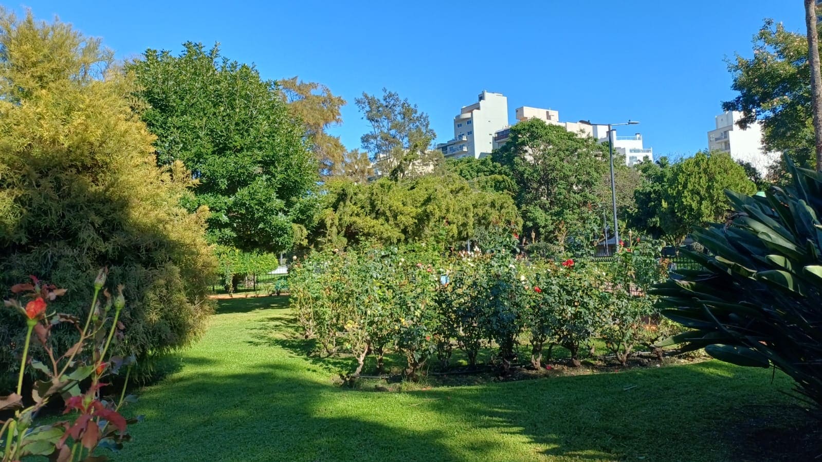 Imagen de galería 1
