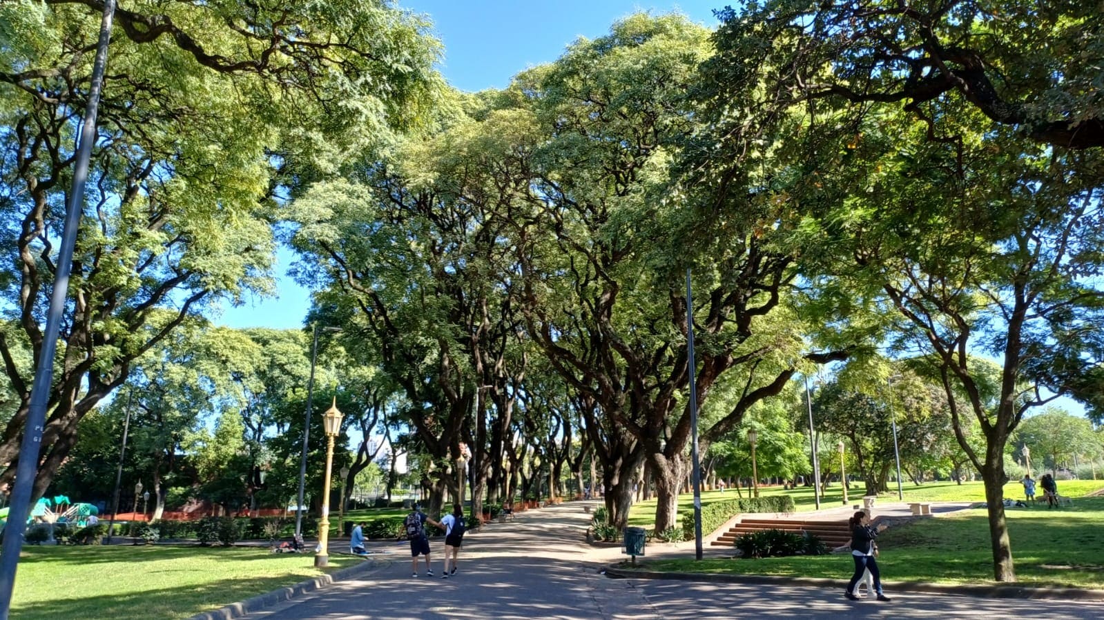 Imagen de galería 1