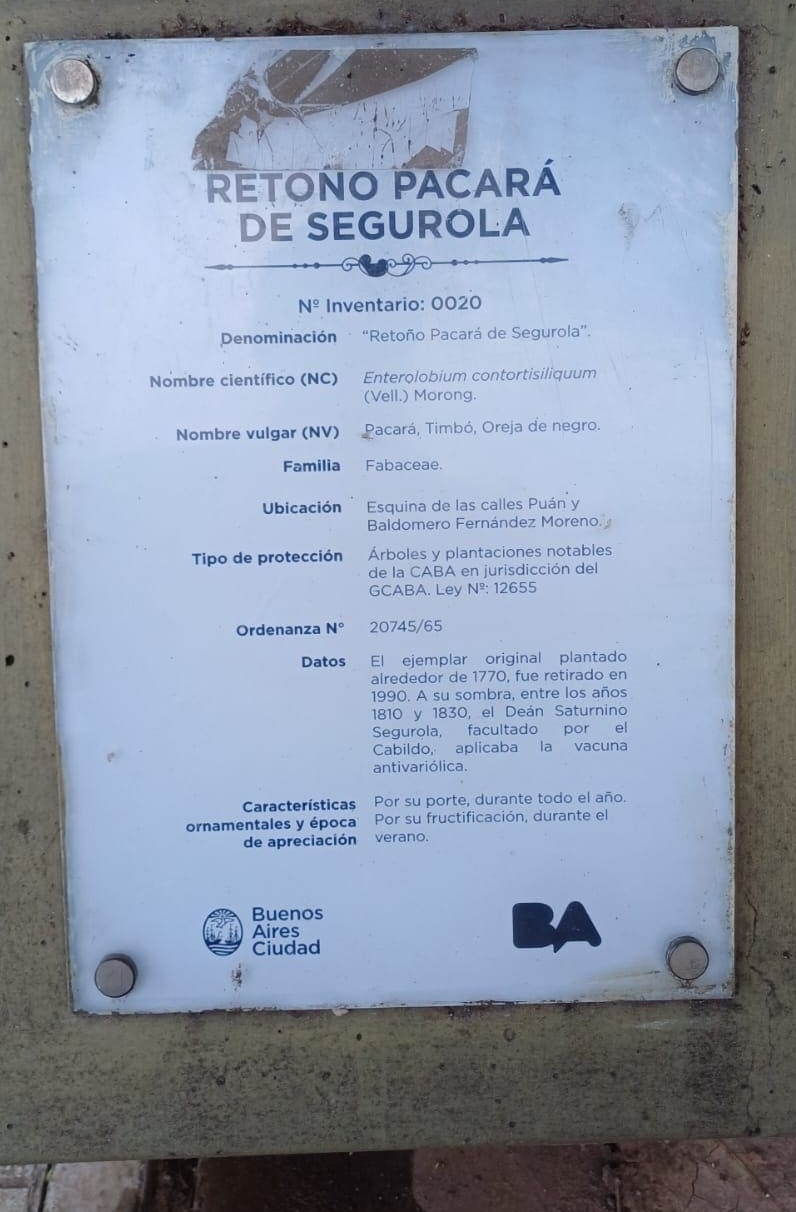 Retoño Pacará de Segurola