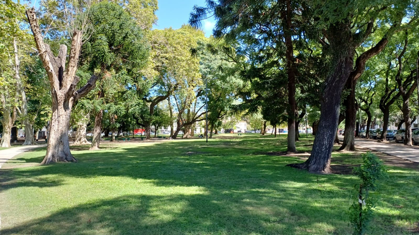 Plaza Dr. José C. Paz