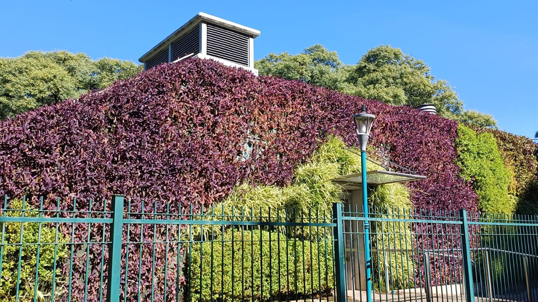 Vista del parque