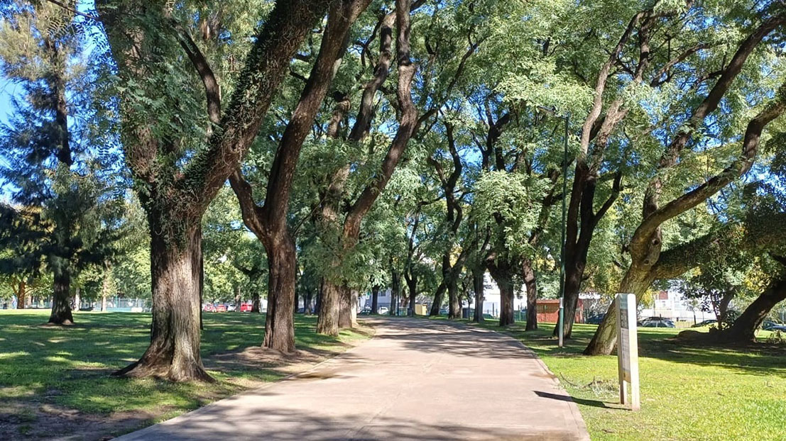 Vista del parque