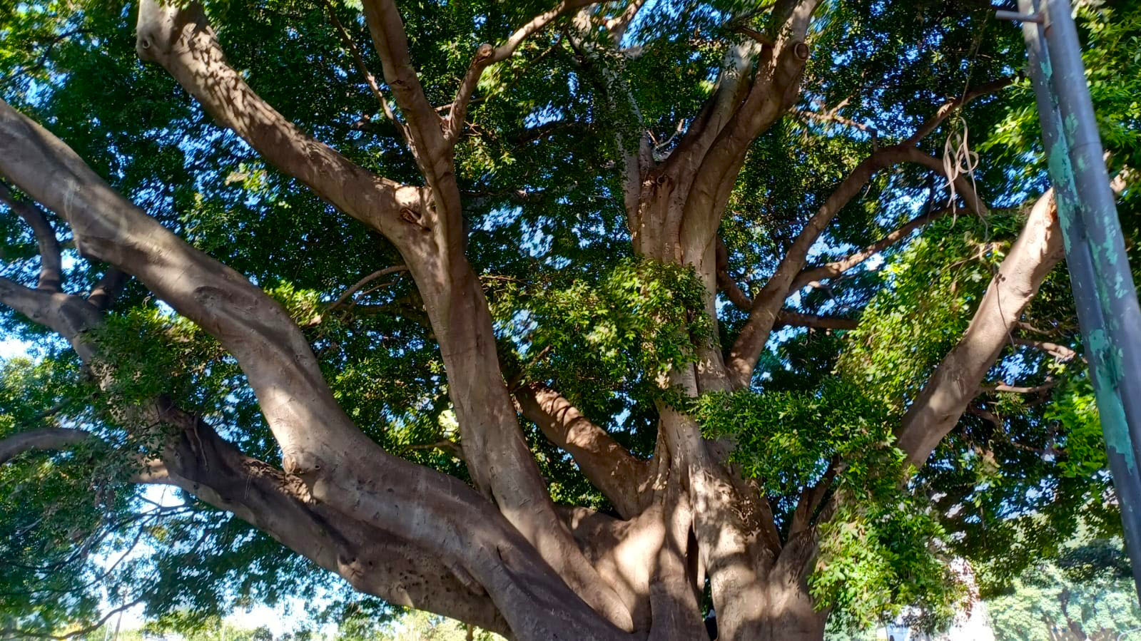 Imagen de galería 1