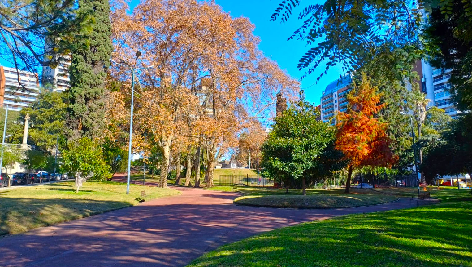 Imagen de galería 1