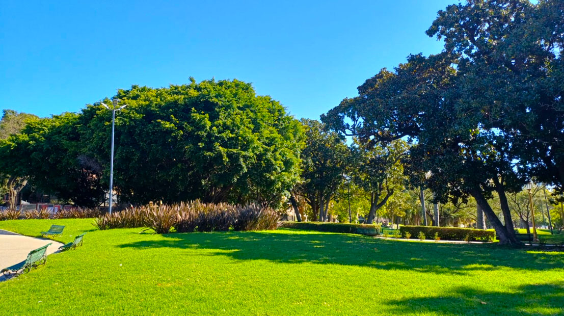 Imagen de galería 1