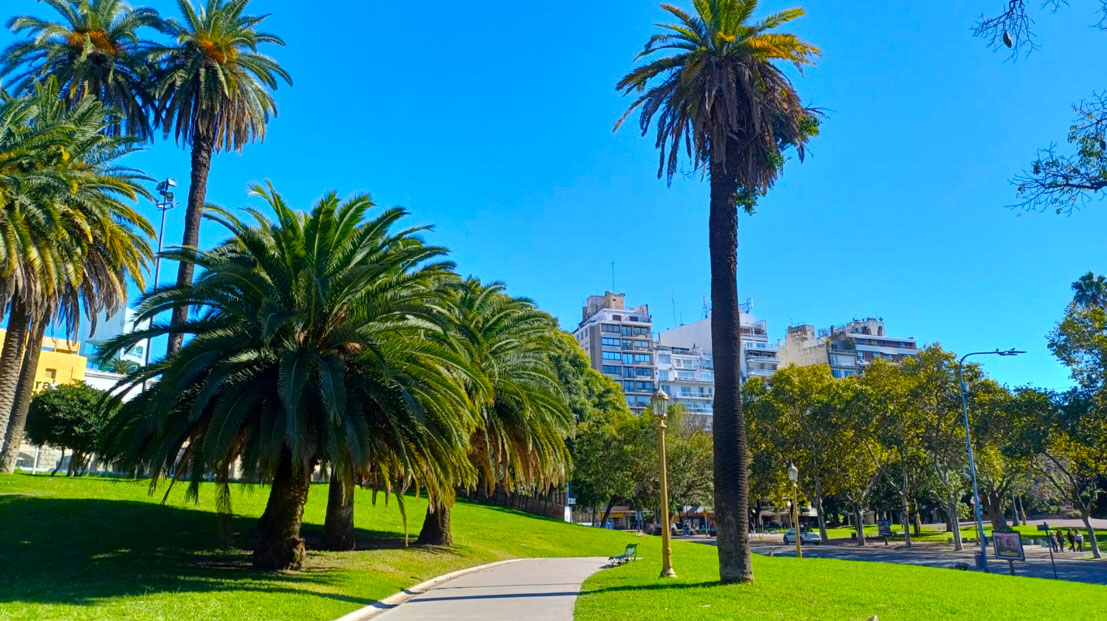 Imagen de galería 1