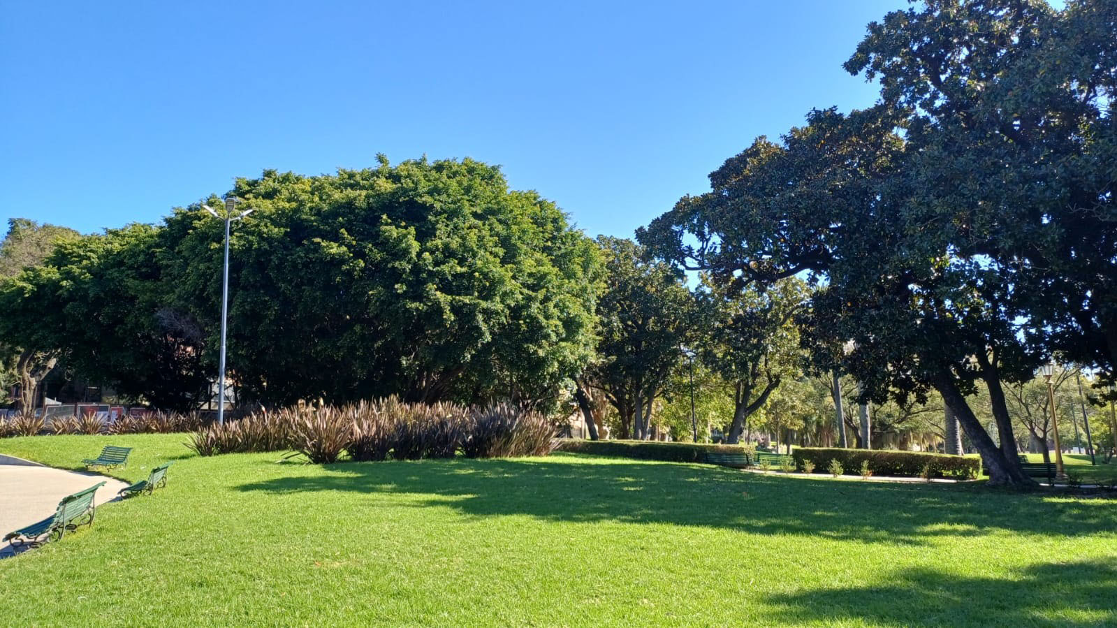 Vista Panorámica Plaza Int. Alvear