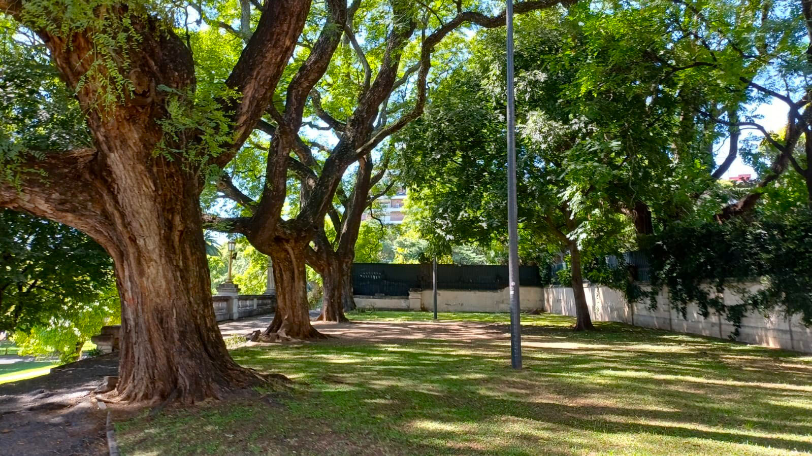 Imagen de galería 1