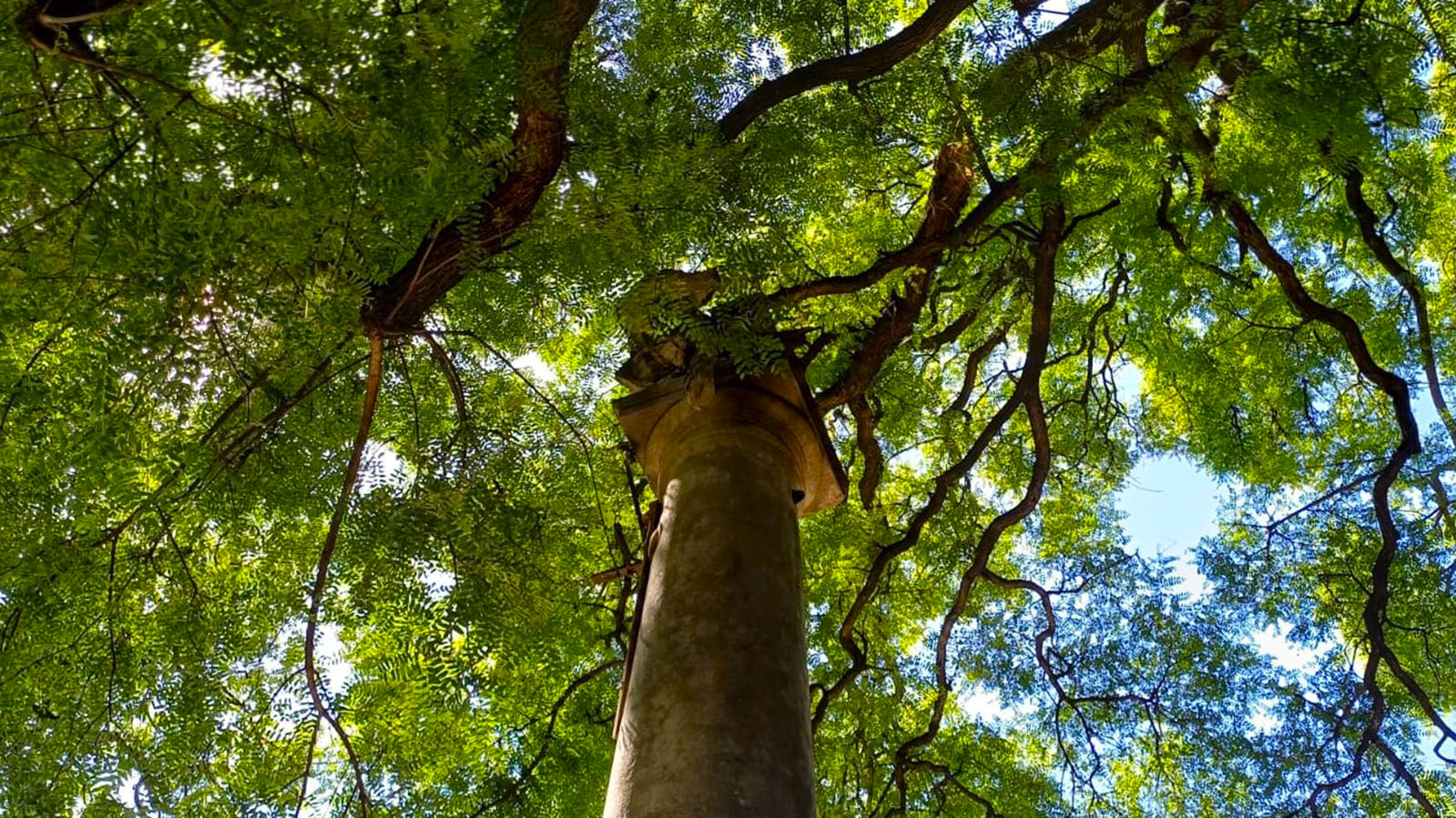 Imagen de galería 1