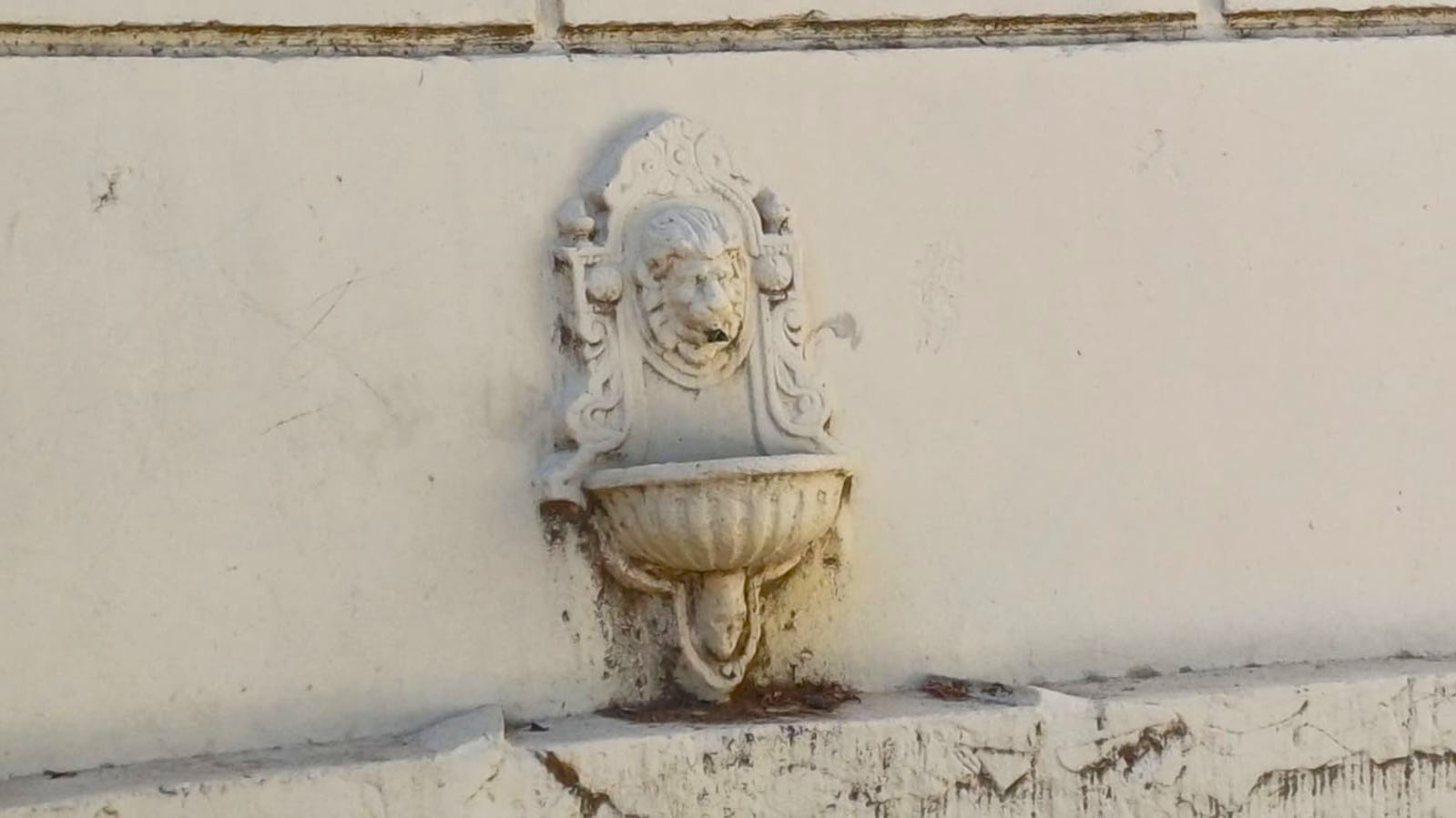 Imagen de galería 1