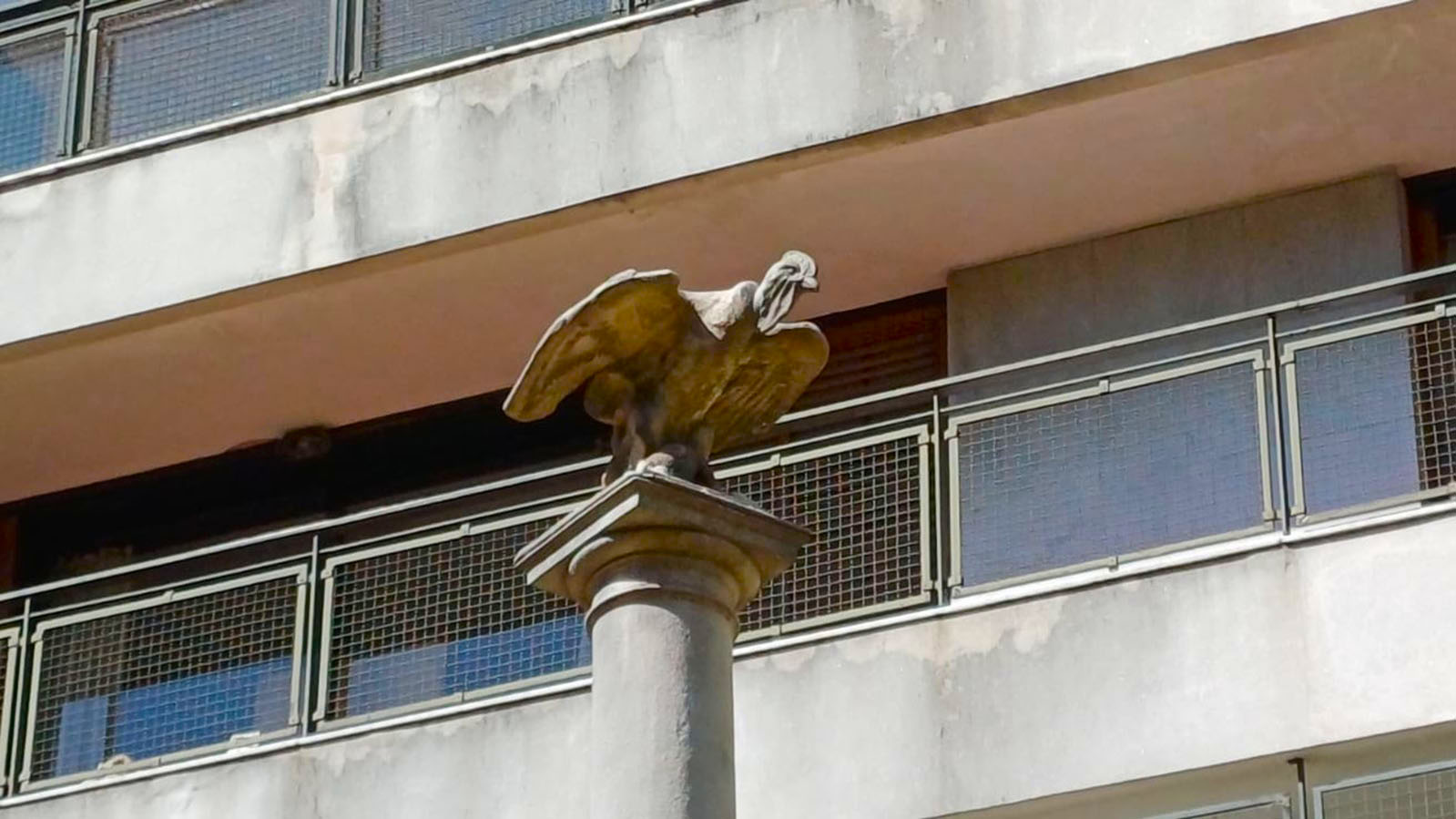 Imagen de galería 1