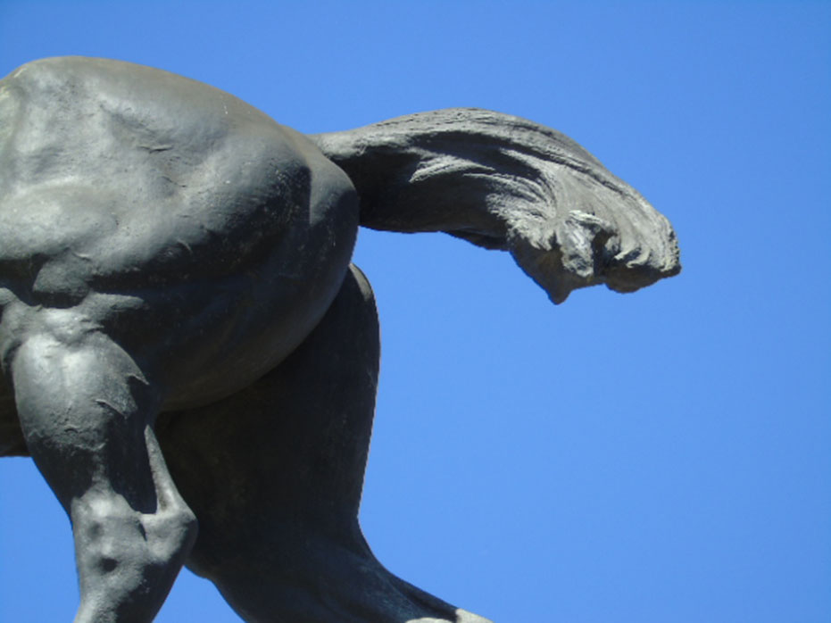 Imagen de galería 1