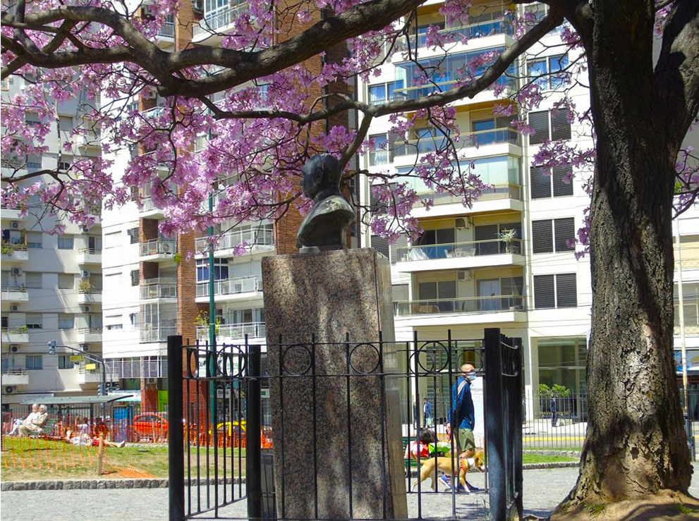 Imagen de galería 3